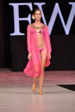 Model walk the ramp for Anupama Dayal Show at IRFW 2012 Day 1 in Goa on 28th Nov 2012 (112).JPG
