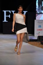 Model walk the ramp for Gogee Vasant at IRFW 2012 Day 1 in Goa on 28th Nov 2012 (5).JPG