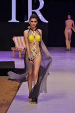 Model walk the ramp for Nidhi Munim_s debut show at IRFW 2012 Day 1 in Goa on 28th Nov 2012 (101).JPG
