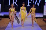 Model walk the ramp for Nidhi Munim_s debut show at IRFW 2012 Day 1 in Goa on 28th Nov 2012 (107).JPG