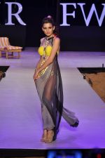 Model walk the ramp for Nidhi Munim_s debut show at IRFW 2012 Day 1 in Goa on 28th Nov 2012 (99).JPG