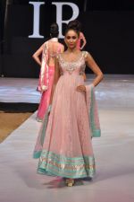 Model walk the ramp for Neeta Lulla Show at IRFW 2012 Day 2 in Goa on 29th Nov 2012 (35).JPG