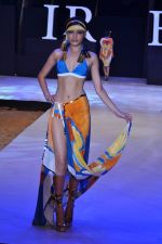 Model walk the ramp for Pria Kataria Puri Show at IRFW 2012 Day 2 in Goa on 29th Nov 2012 (37).JPG