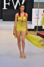 Model walk the ramp for Sounia Gohil Show at IRFW 2012 Day 2 in Goa on 29th Nov 2012 (14).JPG