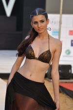 Model walk the ramp for Sounia Gohil Show at IRFW 2012 Day 2 in Goa on 29th Nov 2012 (32).JPG