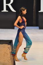 Model walk the ramp for Sounia Gohil Show at IRFW 2012 Day 2 in Goa on 29th Nov 2012 (41).JPG