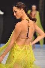 Model walk the ramp for Sounia Gohil Show at IRFW 2012 Day 2 in Goa on 29th Nov 2012 (8).JPG