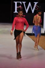 Model walk the ramp for Sushma Patel Show at IRFW 2012 Day 2 in Goa on 29th Nov 2012 (17).JPG