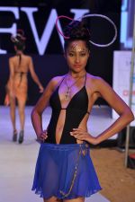 Model walk the ramp for Sushma Patel Show at IRFW 2012 Day 2 in Goa on 29th Nov 2012 (23).JPG