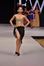 Model walk the ramp for Sushma Patel Show at IRFW 2012 Day 2 in Goa on 29th Nov 2012 (59).JPG