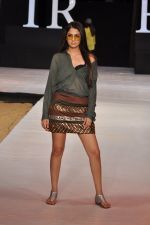 Model walk the ramp for Asmita Marwah Show at IRFW 2012 Day 3 in Goa on 30th Nov 2012 (31).JPG