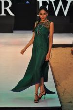 Model walk the ramp for Shruti Sancheti Show at IRFW 2012 in Goa on 1st Dec 2012 (22).JPG