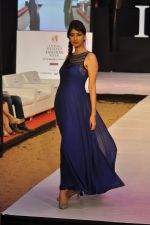 Model walk the ramp for Shruti Sancheti Show at IRFW 2012 in Goa on 1st Dec 2012 (31).JPG