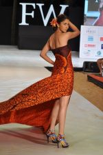 Model walk the ramp for Welspun Show at IRFW 2012 in Goa on 1st Dec 2012 (46).JPG
