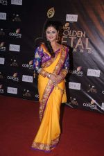 Rashmi Desai at Golden Petal Awards in Mumbai on 3rd Dec 2012 (146).JPG