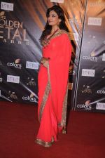 Raveena Tandon at Golden Petal Awards in Mumbai on 3rd Dec 2012 (119).JPG