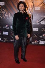 at Golden Petal Awards in Mumbai on 3rd Dec 2012 (118).JPG