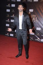 at Golden Petal Awards in Mumbai on 3rd Dec 2012 (135).JPG