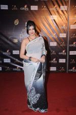 at Golden Petal Awards in Mumbai on 3rd Dec 2012 (66).JPG