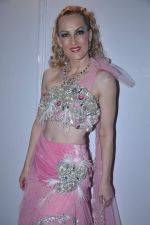 at the Fashion show by Hazel in Sea Princess on 8th Dec 2012 (97).JPG