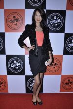 at Cheval Club launch in Kala Ghoda, Mumbai on 15th Dec 2012 (26).JPG