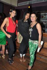 Nina Manuel, Candice Pinto, Hard Kaur at Lagerbay Chistmas bash hosted by Shakir Sheikh in Bandra, Mumbai on 19th Dec 2012 (19).JPG