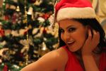 Veena Malik Celebrating Christmas on 20th Dec 2012 (17).JPG