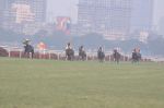 at Gitanjali race in RWITC, Mumbai on 23rd Dec 2012 (181).JPG