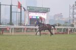 at Gitanjali race in RWITC, Mumbai on 23rd Dec 2012 (184).JPG
