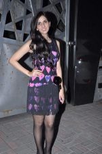 Nishka Lulla at Jackky Bhagnanis_s bash in Juhu, Mumbai on 24th Dec 2012 (6).JPG