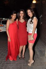 at Anu and Sunny Dewan_s bash in Mumbai on 24th Dec 2012,1 (185).JPG