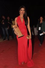 Priyanka Chopra at Big Star Awards on 16th Dec 2012 (194).JPG
