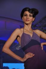 at Style statement jewellery show in Lalit Hotel, Mumbai on 5th Jan 2013 (196).JPG