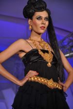 at Style statement jewellery show in Lalit Hotel, Mumbai on 5th Jan 2013 (228).JPG