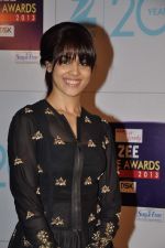 Genelia D Souza at Zee Awards red carpet in Mumbai on 6th Jan 2013 (108).JPG