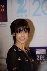 Genelia D Souza at Zee Awards red carpet in Mumbai on 6th Jan 2013,1 (87).JPG