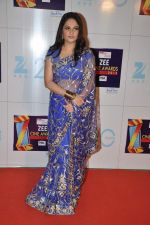 Gracy Singh at Zee Awards red carpet in Mumbai on 6th Jan 2013 (111).JPG