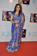 Gracy Singh at Zee Awards red carpet in Mumbai on 6th Jan 2013 (114).JPG
