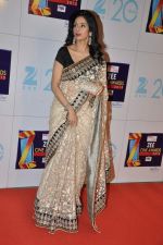 Sridevi at Zee Awards red carpet in Mumbai on 6th Jan 2013 (139).JPG