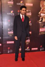 Abhishek Bachchan at Screen Awards red carpet in Mumbai on 12th Jan 2013 (451).JPG