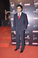 Abhishek Bachchan at Screen Awards red carpet in Mumbai on 12th Jan 2013 (92).JPG