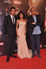 Arjun Rampal, Chitrangada Singh, Sudhir Mishra at Screen Awards red carpet in Mumbai on 12th Jan 2013 (497).JPG