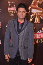 Bhushan Kumar at Screen Awards red carpet in Mumbai on 12th Jan 2013 (426).JPG