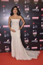 Chitrangada Singh at Screen Awards red carpet in Mumbai on 12th Jan 2013 (123).JPG