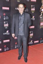 Dalip Tahil at Screen Awards red carpet in Mumbai on 12th Jan 2013 (30).JPG