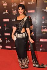 Jacqueline Fernandez at Screen Awards red carpet in Mumbai on 12th Jan 2013 (334).JPG