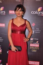 Tejaswini Kolhapure at Screen Awards red carpet in Mumbai on 12th Jan 2013 (375).JPG
