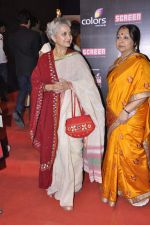 at Screen Awards red carpet in Mumbai on 12th Jan 2013 (111).JPG