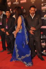 at Screen Awards red carpet in Mumbai on 12th Jan 2013 (268).JPG