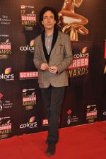 at Screen Awards red carpet in Mumbai on 12th Jan 2013 (279).JPG